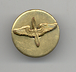 Branch Insignia